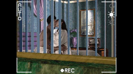 Screenshot Voyeur 2