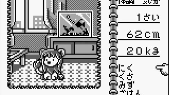 Screenshot Animal Breeder 2