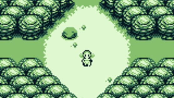 Screenshot Forest 1