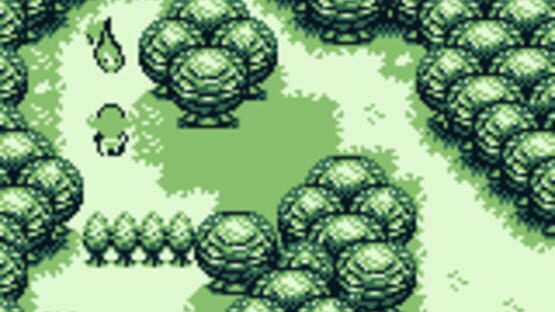 Screenshot Forest 2