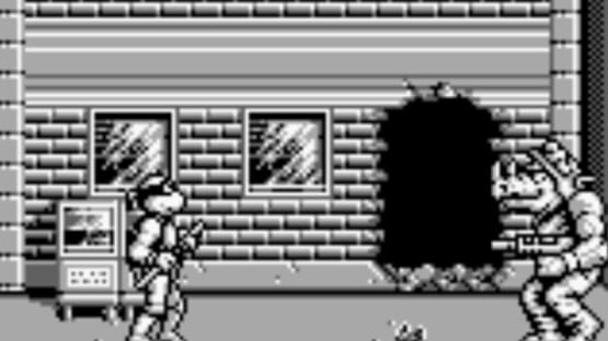 Screenshot Teenage Mutant Ninja Turtles II: Back from the Sewers 1