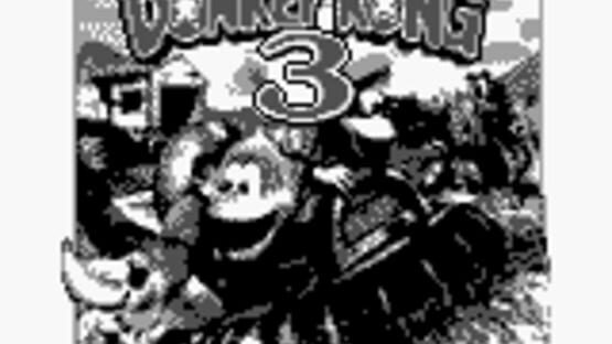 Screenshot Super Donkey Kong 3 1