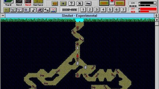 Screenshot SimAnt 3