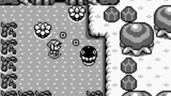Screenshot The Legend of Zelda: Link's Awakening 2