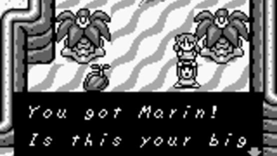 Screenshot The Legend of Zelda: Link's Awakening 3