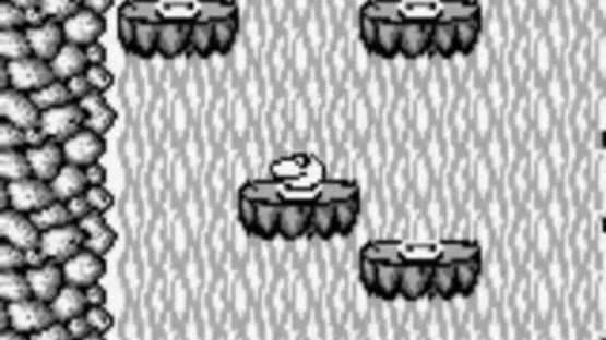 Screenshot Sneaky Snakes 2
