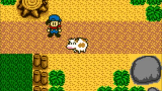Screenshot Harvest Moon GB 3