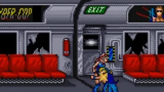 Screenshot Double Dragon 2