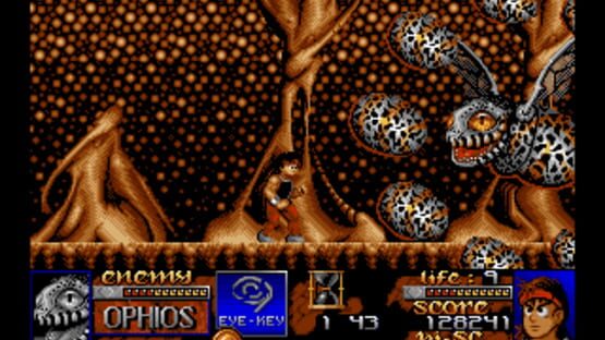 Screenshot Risky Woods 2