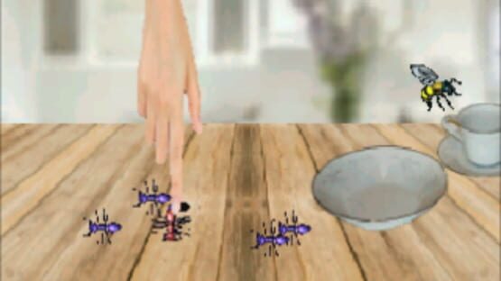 Screenshot Ants 1