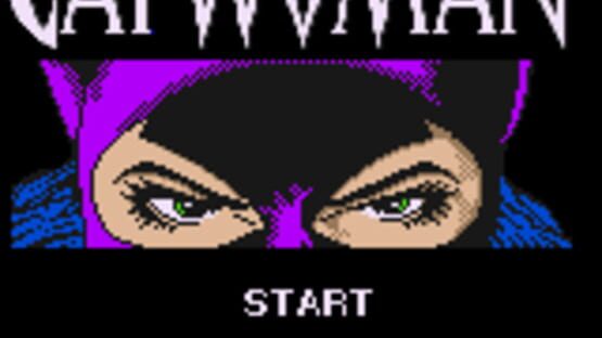 Screenshot Catwoman 2