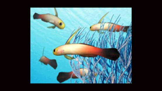 Screenshot Aqua-World: Umi Monogatari 3