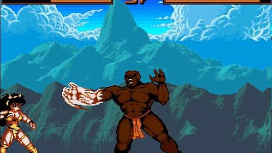 Screenshot Shadow Fighter 1