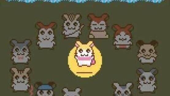 Screenshot Tottoko Hamtaro: Tomodachi Daisakusen Dechu 2