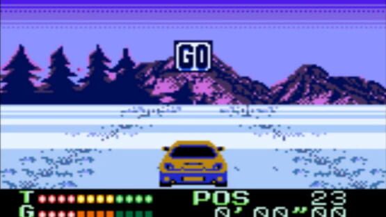 Screenshot International Rally 2