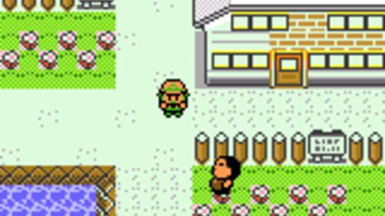 Screenshot Pokémon Celebrations 3