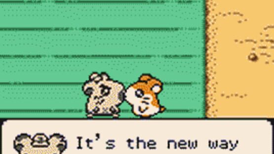 Screenshot Hamtaro: Ham-Hams Unite! 1