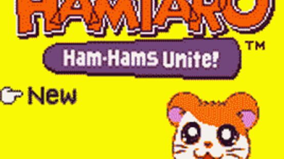 Screenshot Hamtaro: Ham-Hams Unite! 2