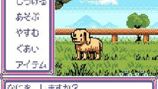 Screenshot Kawaii Pet Shop Monogatari 2 3