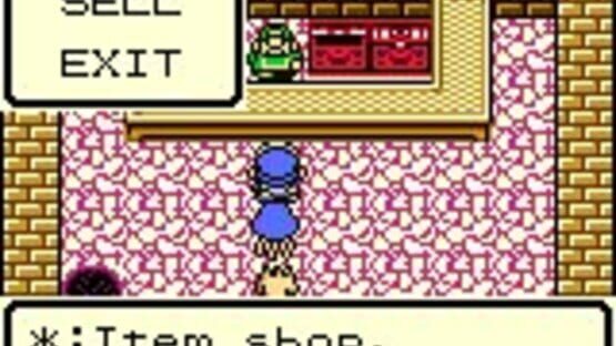 Screenshot Dragon Warrior Monsters 1