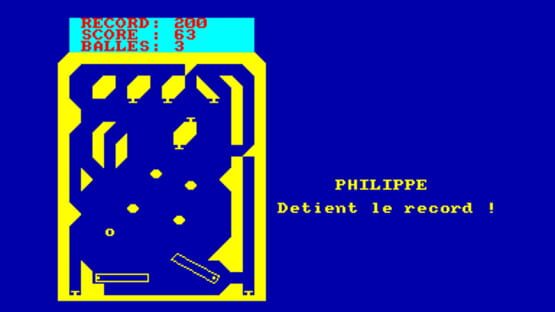 Screenshot Flipper 1