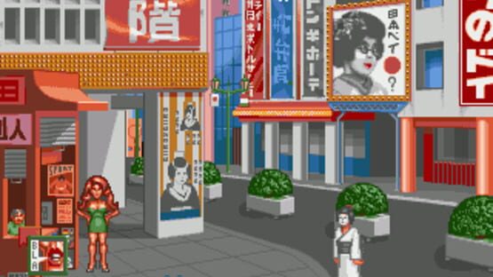 Screenshot Nippon Safes Inc. 2
