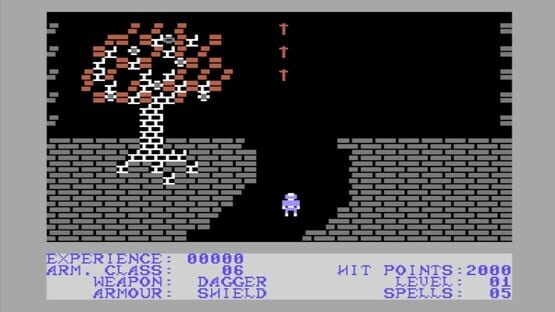 Screenshot Sword of Kadash 2