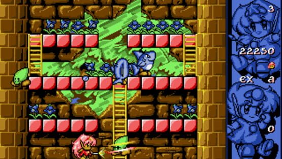 Screenshot Rod-Land 2