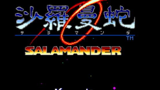 Screenshot Salamander 1