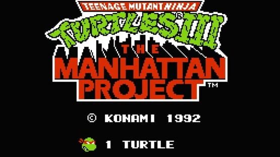 Screenshot Teenage Mutant Ninja Turtles III: The Manhattan Project 2