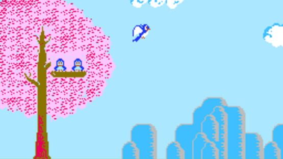 Screenshot Bird Week 1