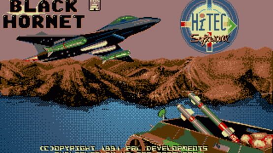 Screenshot Black Hornet 2