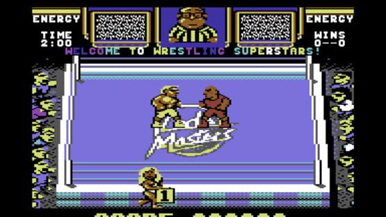 Screenshot Wrestling Superstars 2