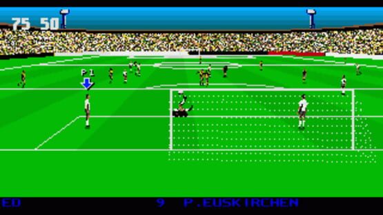 Screenshot 3D World Soccer 3