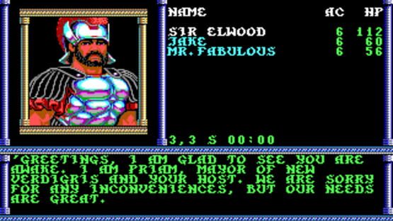 Screenshot Advanced Dungeons & Dragons: Secret of the Silver Blades 3