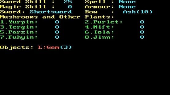 Screenshot Rings of Zilfin 3