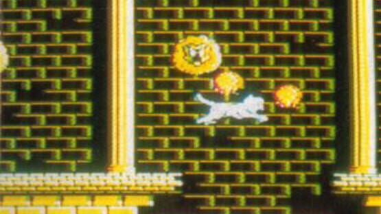 Screenshot Jungle Taitei 2