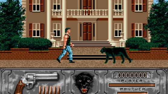 Screenshot Wild Streets 1
