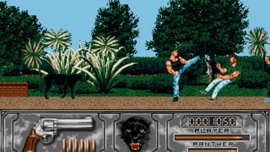 Screenshot Wild Streets 2