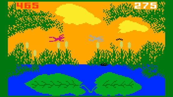 Screenshot Frog Bog 1