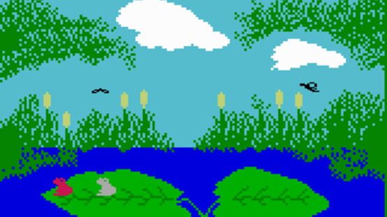 Screenshot Frog Bog 2