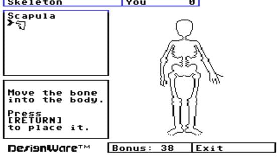 Screenshot The Body Transparent 2