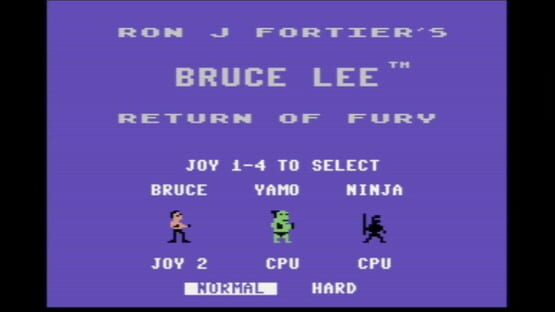 Screenshot Bruce Lee: Return of Fury 2