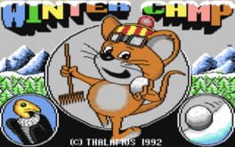 Cover Winter Camp