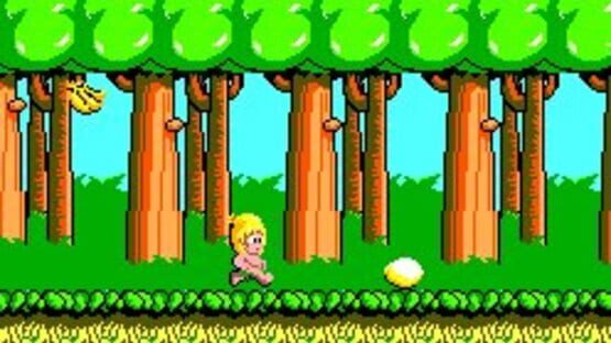 Screenshot Wonder Boy 2