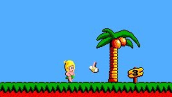 Screenshot Wonder Boy 3