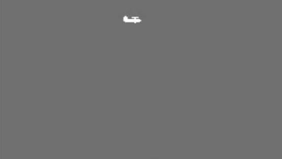 Screenshot Attack 1