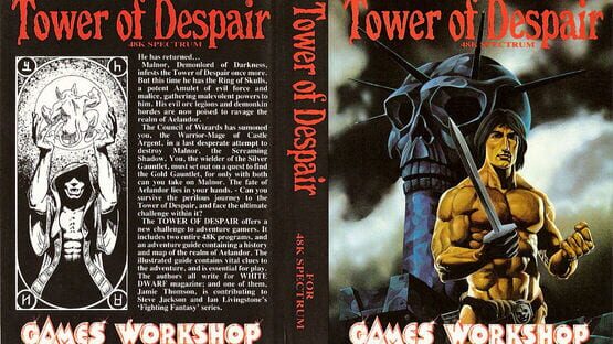 Screenshot Tower of Despair 1