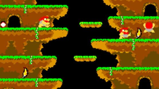 Screenshot Roc 'N Rope 2