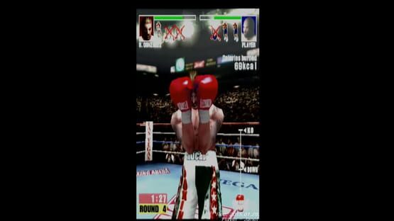 Screenshot Mocap Boxing 1